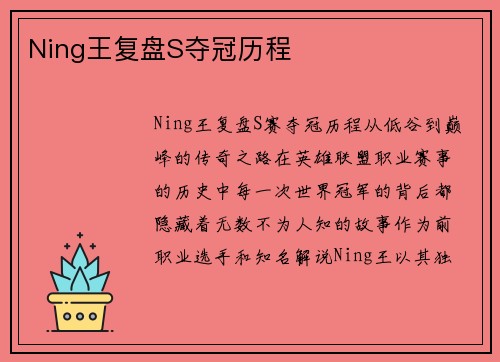 Ning王复盘S夺冠历程