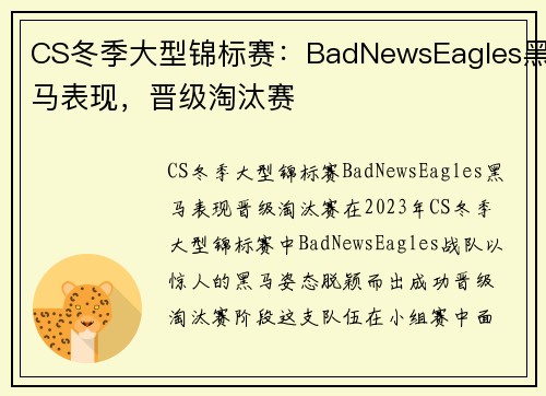 CS冬季大型锦标赛：BadNewsEagles黑马表现，晋级淘汰赛