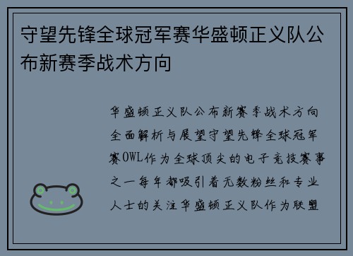 守望先锋全球冠军赛华盛顿正义队公布新赛季战术方向